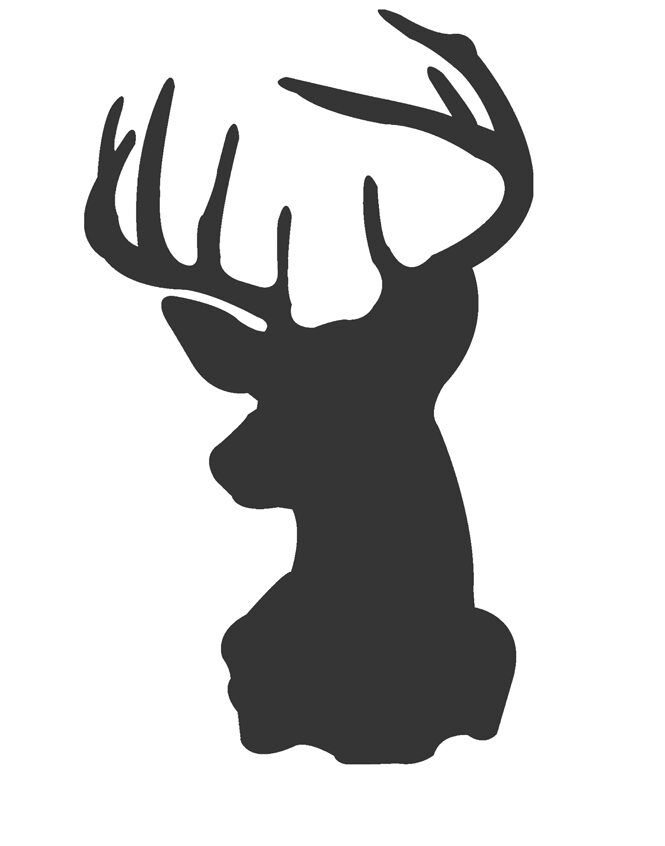 Deer Photo Collage