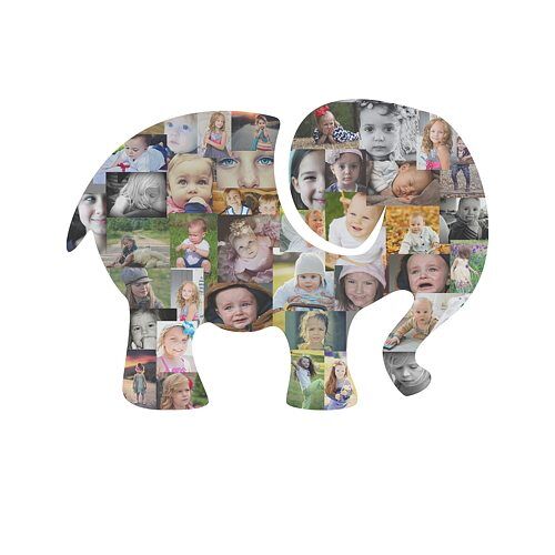 Elephant Photo Collage