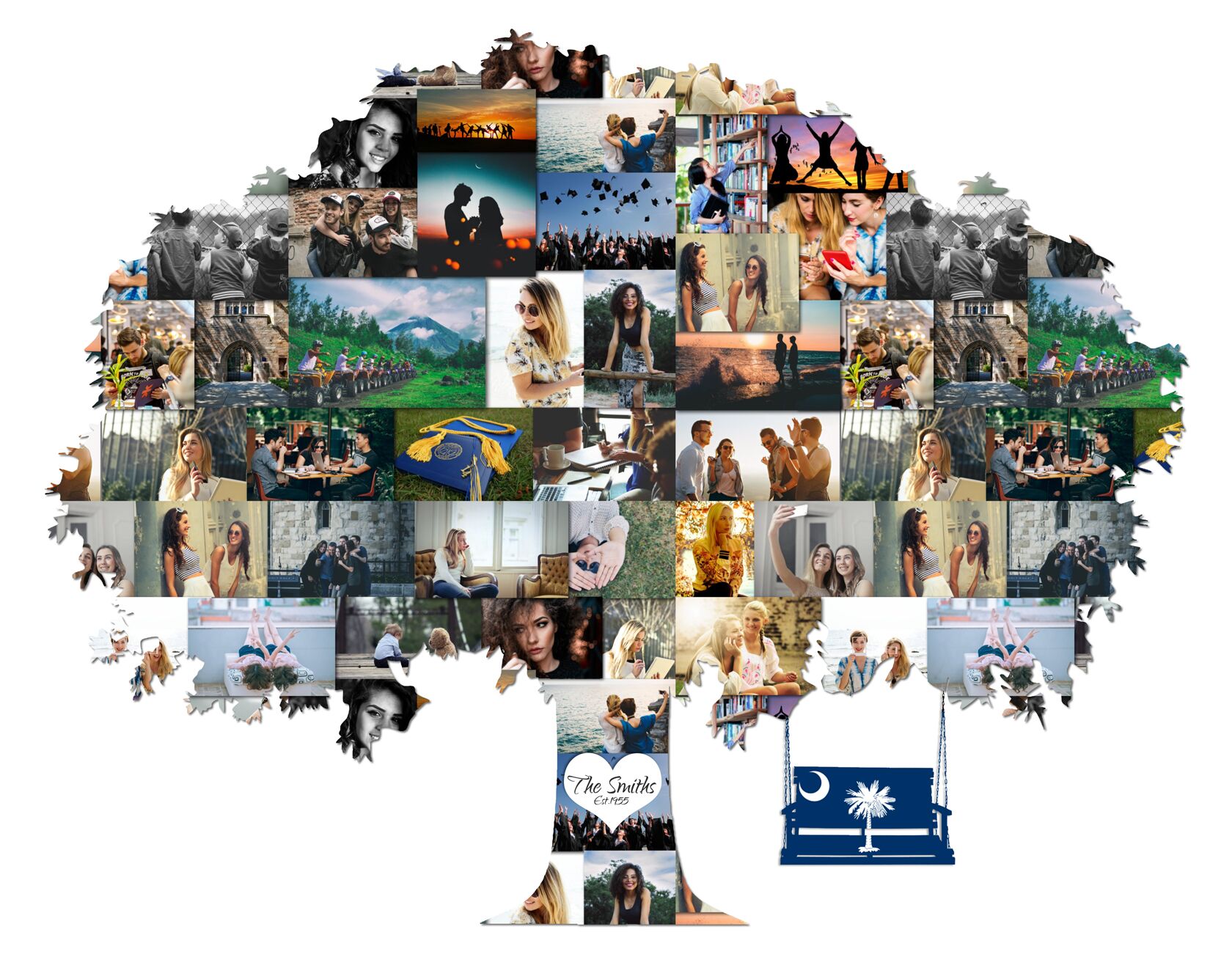 New Family Tree